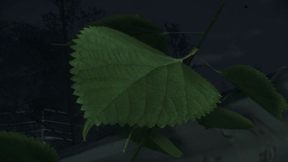 Need for Speed (2015) - NFS