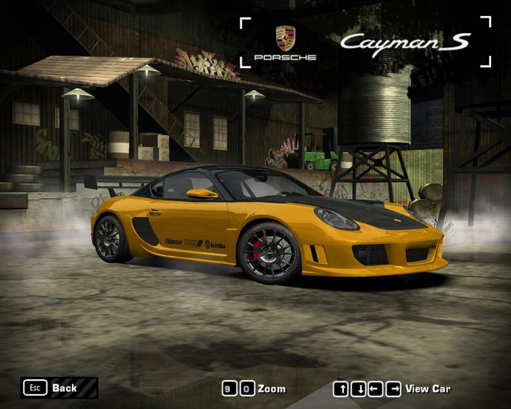 Porsche Cayman S